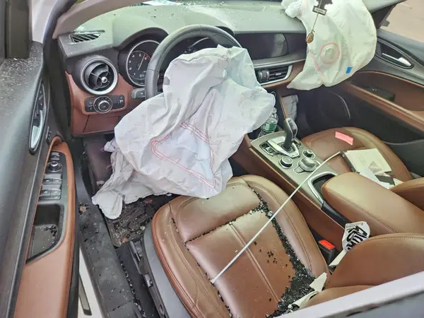 ZASPAKBN1L7C87772 2020 ALFA ROMEO STELVIO - Image 8
