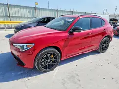 ZASPAKBN1L7C94480 2020 ALFA ROMEO STELVIO