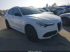 ZASPAKBN1M7D18195 2021 ALFA ROMEO STELVIO