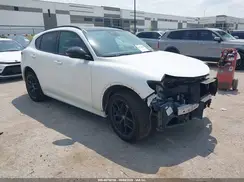 ZASPAKBN1M7D19542 2021 ALFA ROMEO STELVIO