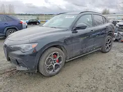 ZASPAKBN1R7D70532 2024 ALFA ROMEO STELVIO