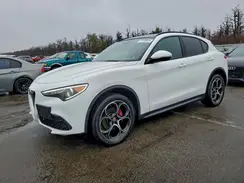 ZASPAKBN2K7C44900 2019 ALFA ROMEO STELVIO
