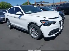 ZASPAKBN2K7C52771 2019 ALFA ROMEO STELVIO
