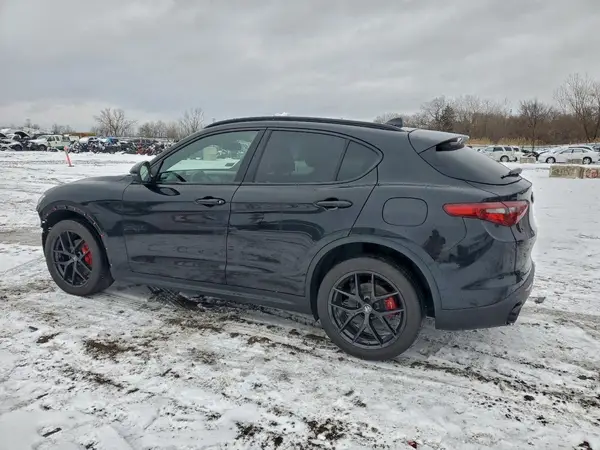 ZASPAKBN2K7C68856 2019 ALFA ROMEO STELVIO - Image 2