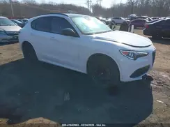 ZASPAKBN2M7D09716 2021 ALFA ROMEO STELVIO