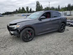ZASPAKBN2N7D24928 2022 ALFA ROMEO STELVIO