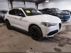 ZASPAKBN3K7C37244 2019 ALFA ROMEO STELVIO