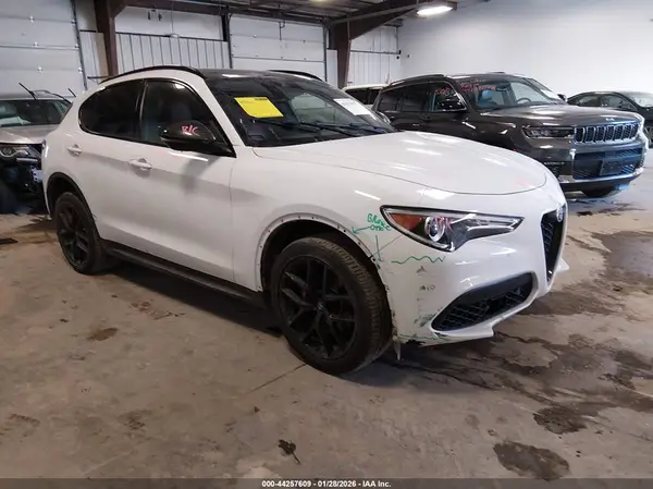 ZASPAKBN3K7C37244 2019 ALFA ROMEO STELVIO