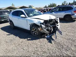 ZASPAKBN3K7C39060 2019 ALFA ROMEO STELVIO