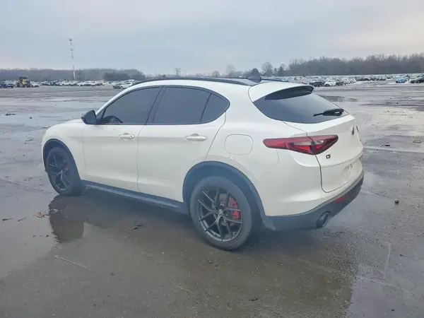 ZASPAKBN3K7C50527 2019 ALFA ROMEO STELVIO - Image 2
