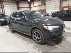 ZASPAKBN3K7C57347 2019 ALFA ROMEO STELVIO
