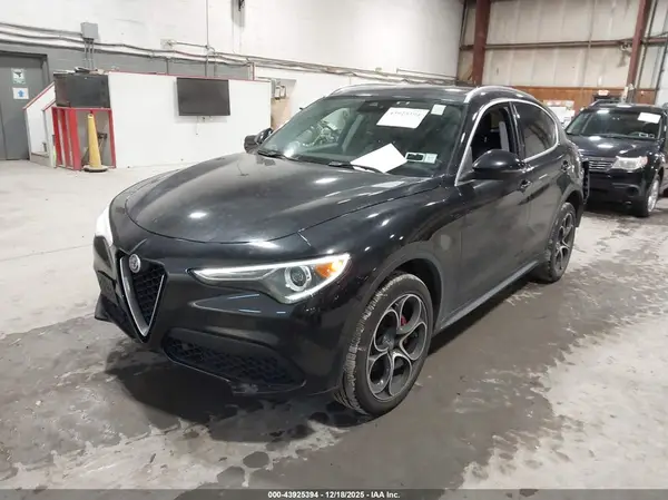 ZASPAKBN3K7C57347 2019 ALFA ROMEO STELVIO - Image 2