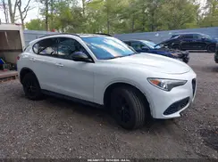 ZASPAKBN3K7C65738 2019 ALFA ROMEO STELVIO
