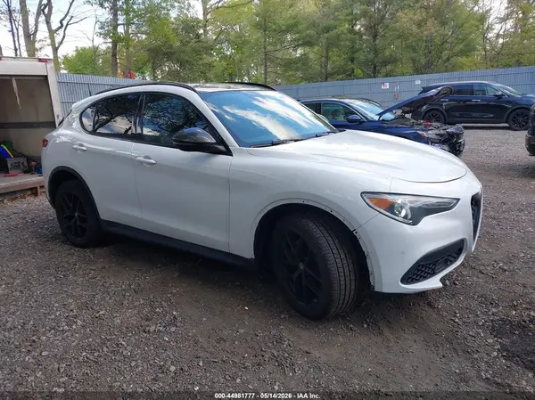 ZASPAKBN3K7C65738 2019 ALFA ROMEO STELVIO