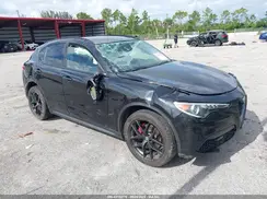 ZASPAKBN3K7C68865 2019 ALFA ROMEO STELVIO