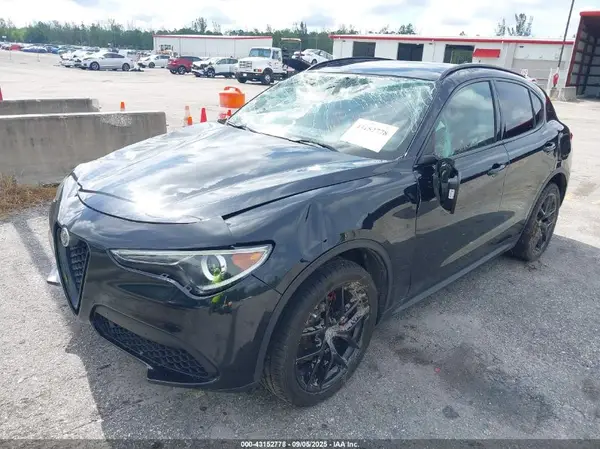 ZASPAKBN3K7C68865 2019 ALFA ROMEO STELVIO - Image 2