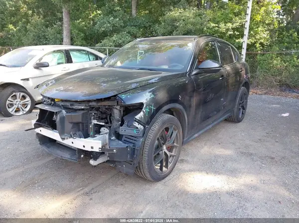 ZASPAKBN3K7C69921 2019 ALFA ROMEO STELVIO - Image 2