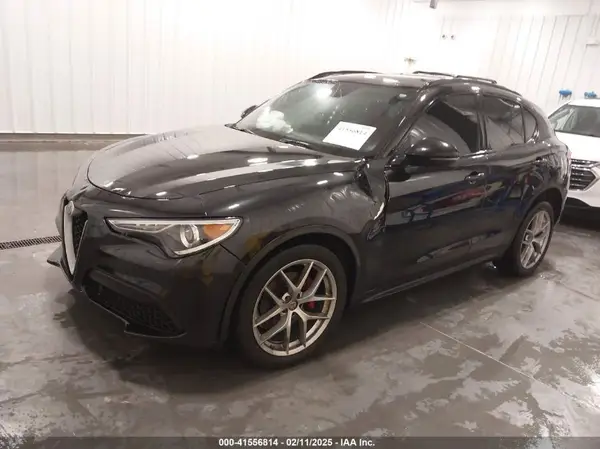ZASPAKBN3K7C71569 2019 ALFA ROMEO STELVIO - Image 2