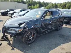 ZASPAKBN3L7C99342 2020 ALFA ROMEO STELVIO