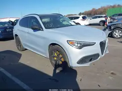 ZASPAKBN3M7D18831 2021 ALFA ROMEO STELVIO