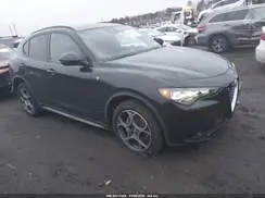 ZASPAKBN3R7D76302 2024 ALFA ROMEO STELVIO
