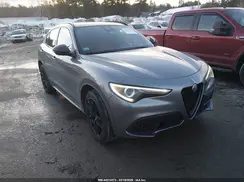 ZASPAKBN4L7C83179 2020 ALFA ROMEO STELVIO