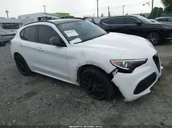 ZASPAKBN4L7C90343 2020 ALFA ROMEO STELVIO