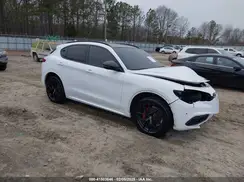 ZASPAKBN4M7D03366 2021 ALFA ROMEO STELVIO