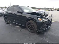 ZASPAKBN4M7D13976 2021 ALFA ROMEO STELVIO