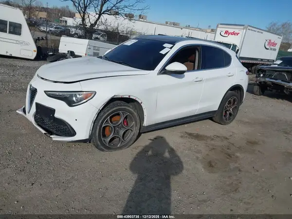 ZASPAKBN5K7C44860 2019 ALFA ROMEO STELVIO - Image 2