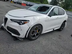 ZASPAKBN5M7D10827 2021 ALFA ROMEO STELVIO