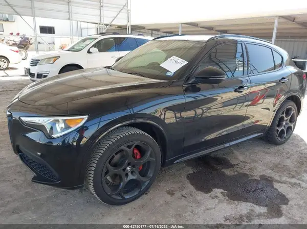 ZASPAKBN5P7D50054 2023 ALFA ROMEO STELVIO - Image 2