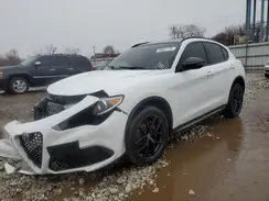 ZASPAKBN6K7C38467 2019 ALFA ROMEO STELVIO