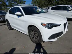 ZASPAKBN6L7C95334 2020 ALFA ROMEO STELVIO