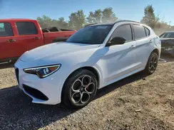ZASPAKBN6P7D55487 2023 ALFA ROMEO STELVIO