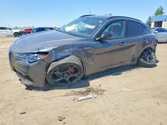 ZASPAKBN6R7D70252 2024 ALFA ROMEO STELVIO