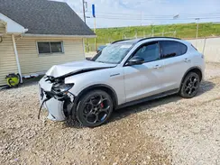 ZASPAKBN6R7D76939 2024 ALFA ROMEO STELVIO