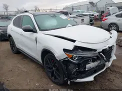 ZASPAKBN7K7C49347 2019 ALFA ROMEO STELVIO