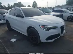ZASPAKBN7M7D09629 2021 ALFA ROMEO STELVIO