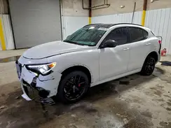 ZASPAKBN7M7D11333 2021 ALFA ROMEO STELVIO