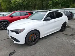 ZASPAKBN7M7D14619 2021 ALFA ROMEO STELVIO