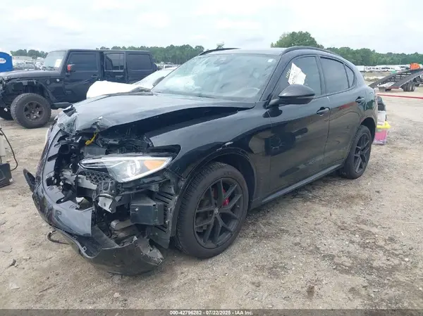 ZASPAKBN7M7D17777 2021 ALFA ROMEO STELVIO - Image 2