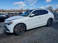 ZASPAKBN7M7D19187 2021 ALFA ROMEO STELVIO