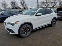 ZASPAKBN7N7D31549 2022 ALFA ROMEO STELVIO