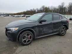 ZASPAKBN7P7D54428 2023 ALFA ROMEO STELVIO