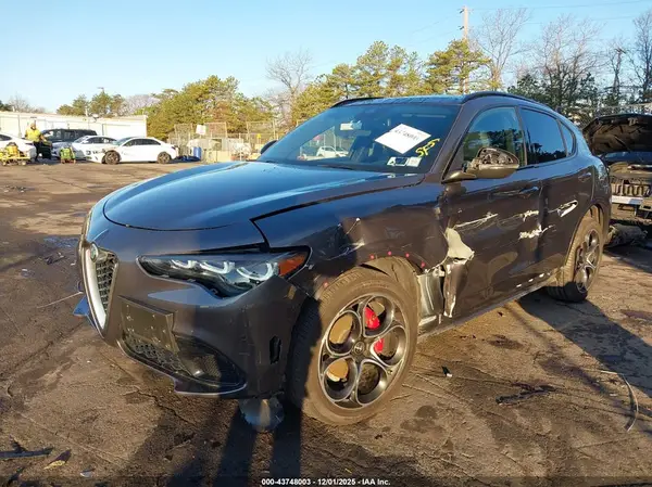 ZASPAKBN7R7D70406 2024 ALFA ROMEO STELVIO - Image 2