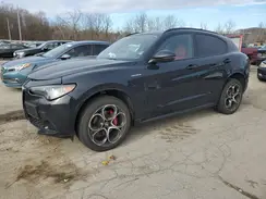 ZASPAKBN7R7D77629 2024 ALFA ROMEO STELVIO