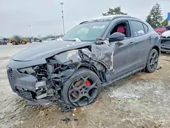 ZASPAKBN7R7D82796 2024 ALFA ROMEO STELVIO