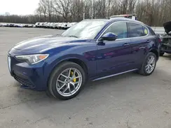 ZASPAKBN8L7C76865 2020 ALFA ROMEO STELVIO