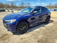 ZASPAKBN8L7C86022 2020 ALFA ROMEO STELVIO